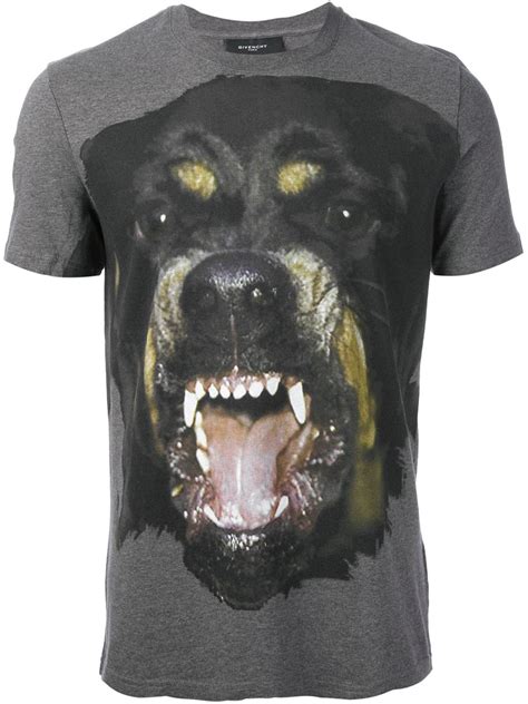 givenchy grey rottweiler|givenchy rottweiler shirt price.